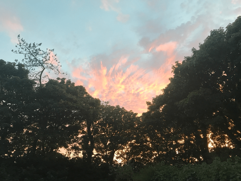 Atardecer con árboles, Irlanda