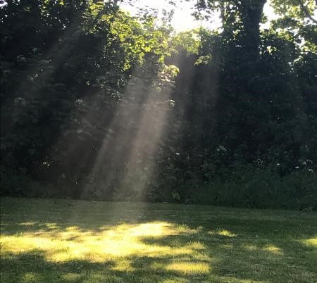 tercer semana adviento 2018