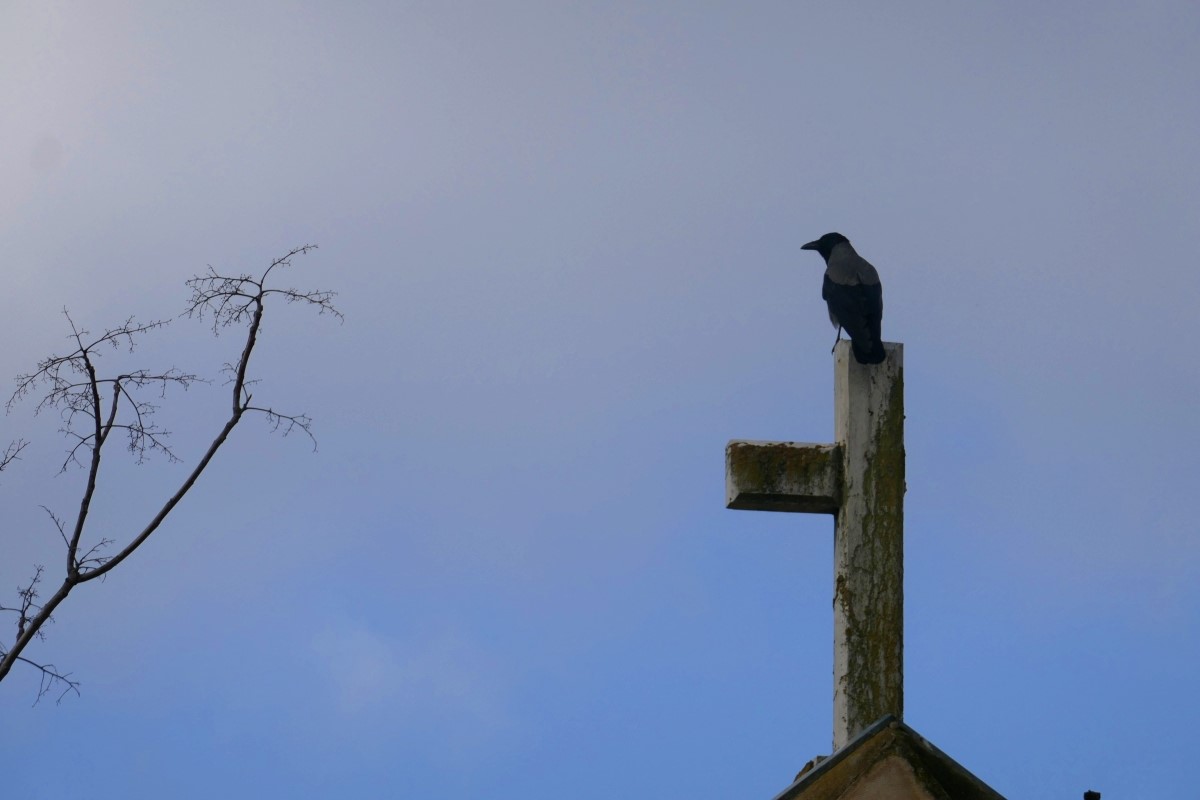 cuarto domingo de cuaresma 2019