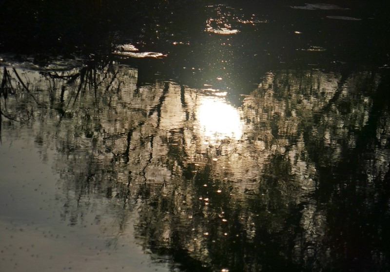 reflejo e el agua bonnevaux
