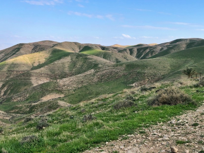 1ACC2D48-17AF-4479-A970-BDDC37042AE6