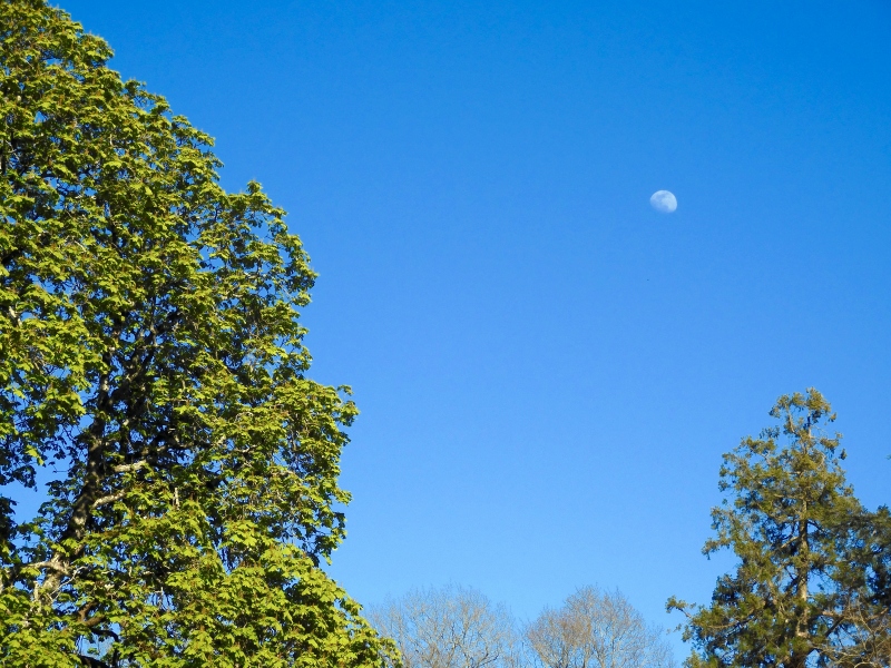 C5FB8D7C-B035-4D97-B74D-DFC1E03E9F01