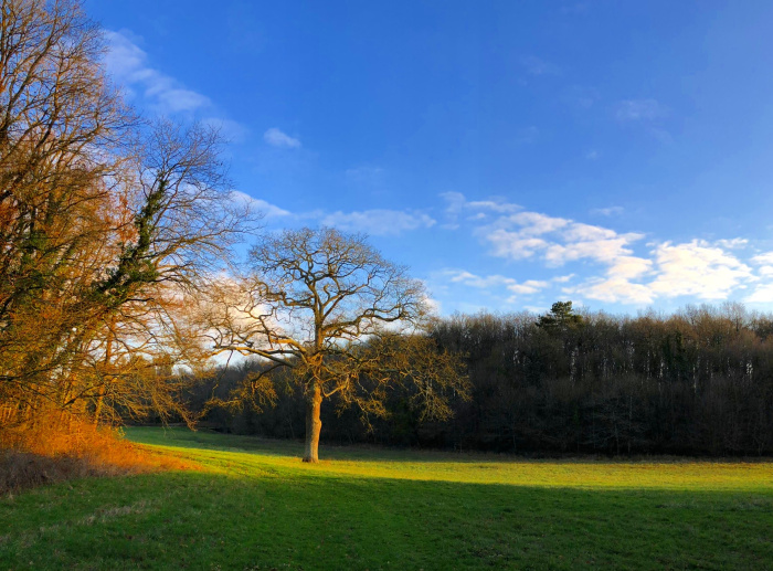 CA47A6E0-212C-49D0-9A35-AA94175644A2